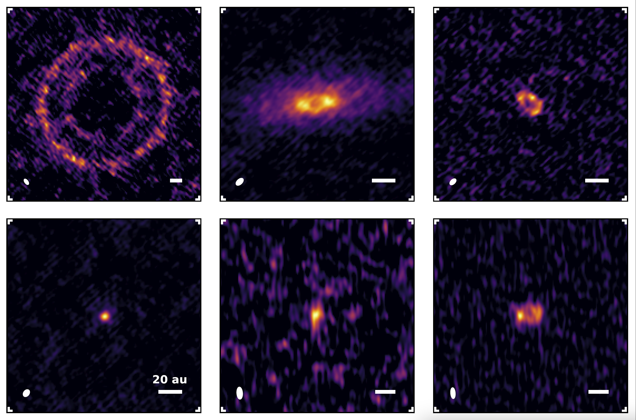 Small and Large Dust Cavities in Disks around Mid-M Stars in Taurus